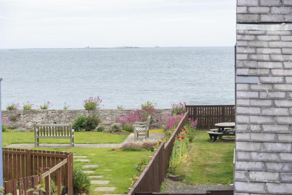 Puffin View Lejlighed Seahouses Eksteriør billede